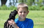 Mini Australian Labradoodle