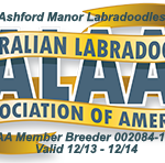 Ashford Manor Labradoodles ALAA Logo