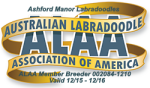 Ashford Manor Labradoodles 2016 ALAA Logo