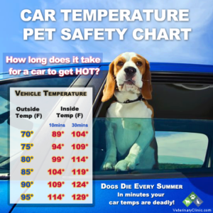 Dogs-Temperature