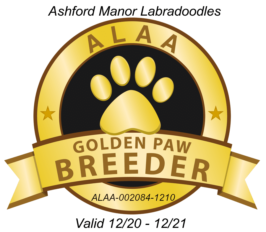 Ashford Manor Golden Paw 2020
