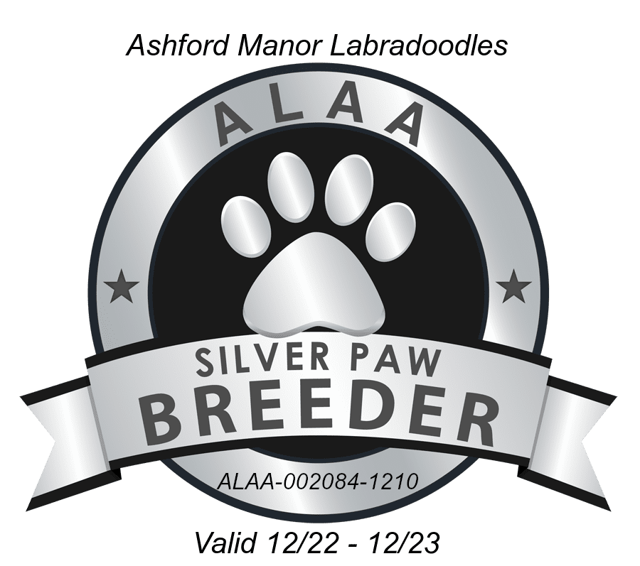 Ashford Manor Silver Paw 2023