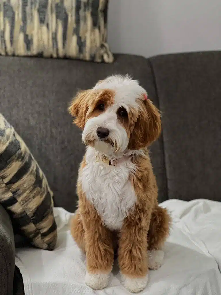 Mia (female)