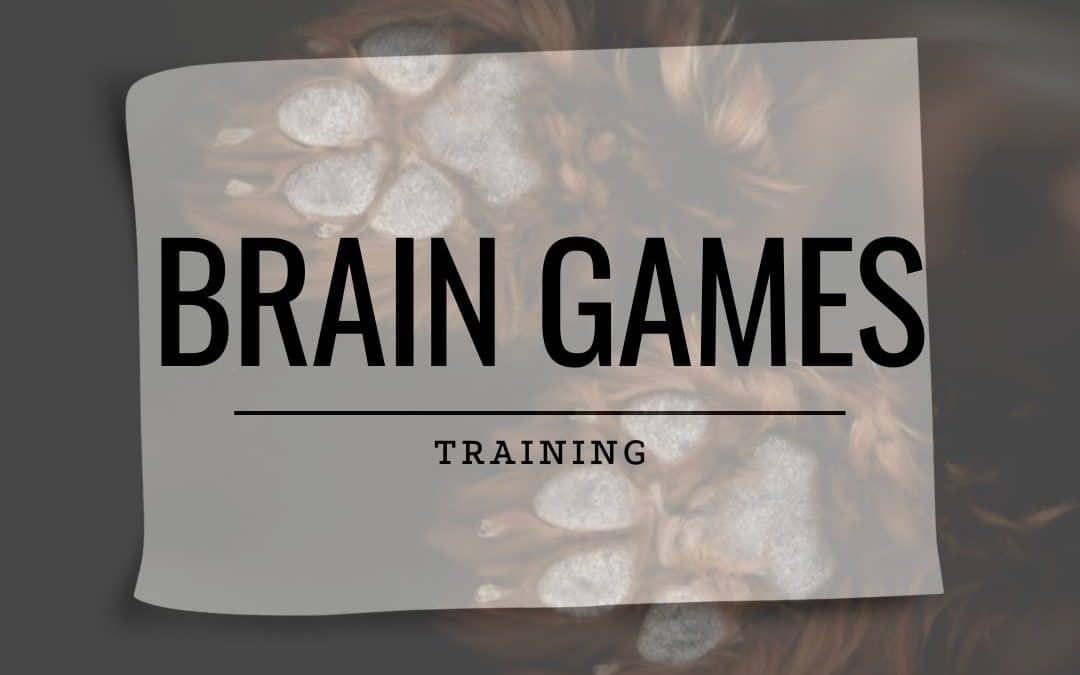 Brain Game (Surface Commands)