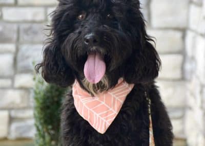 Caymen (female)