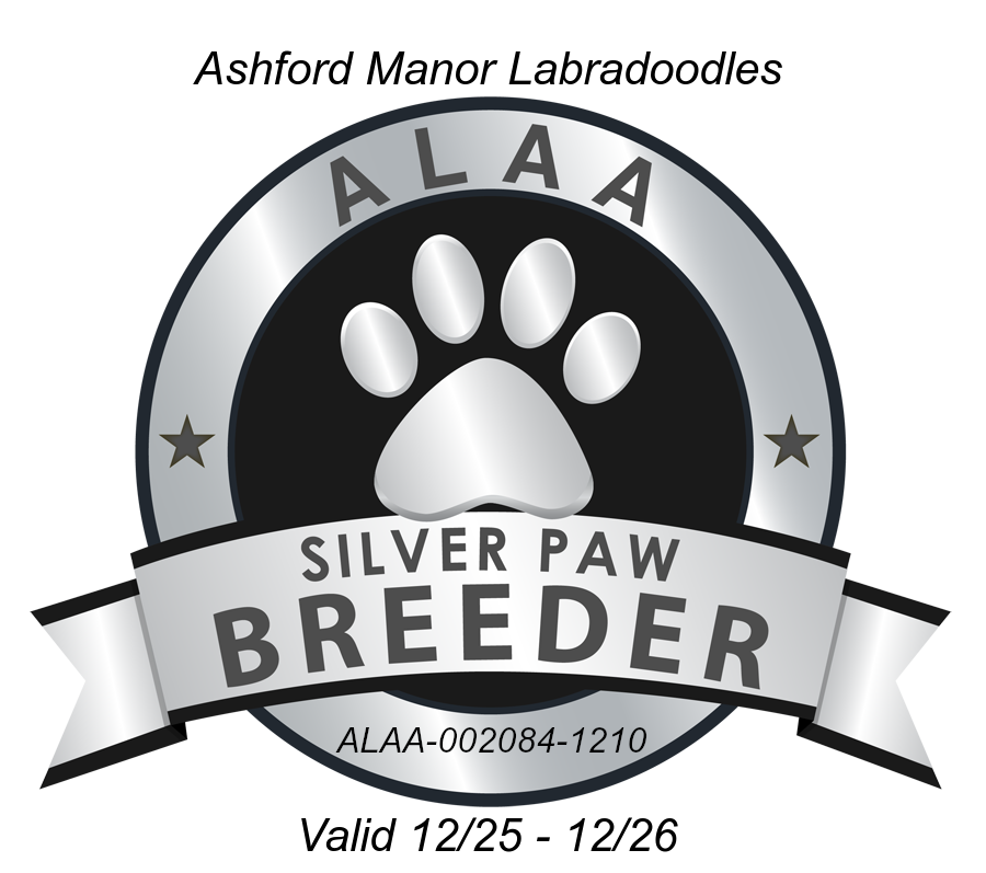 Silver Paw Breeder