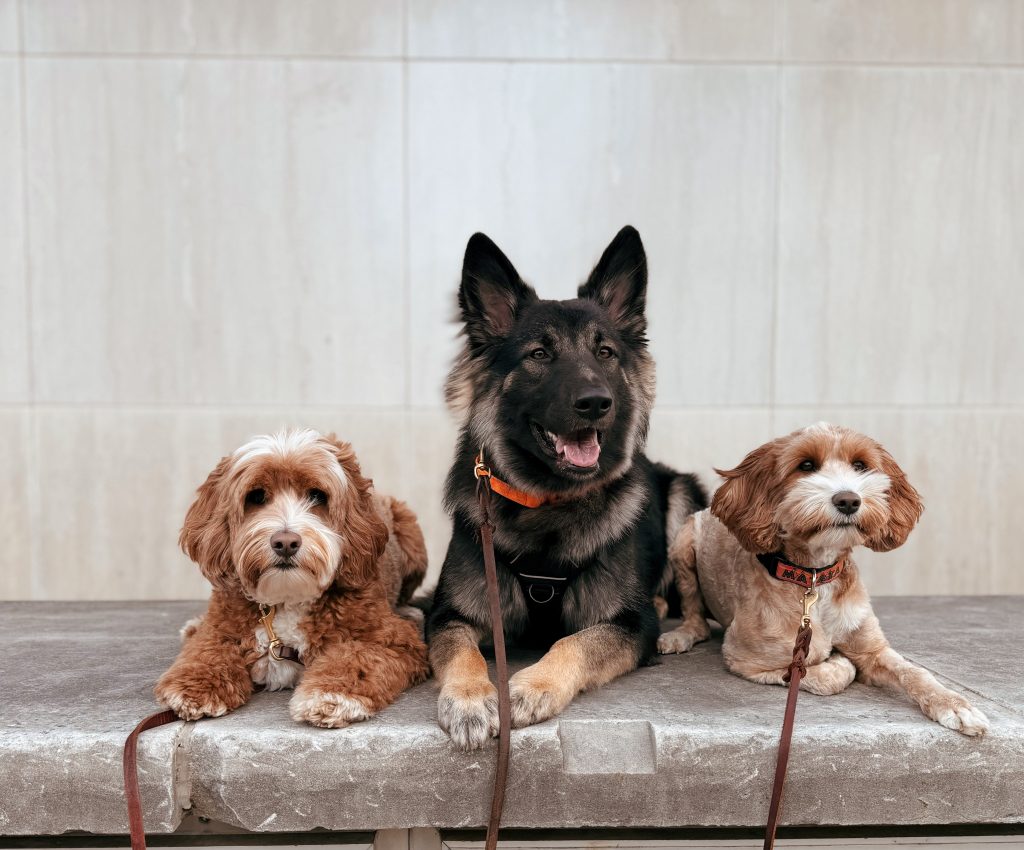 group