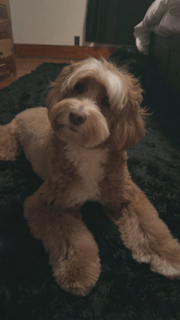 Duke